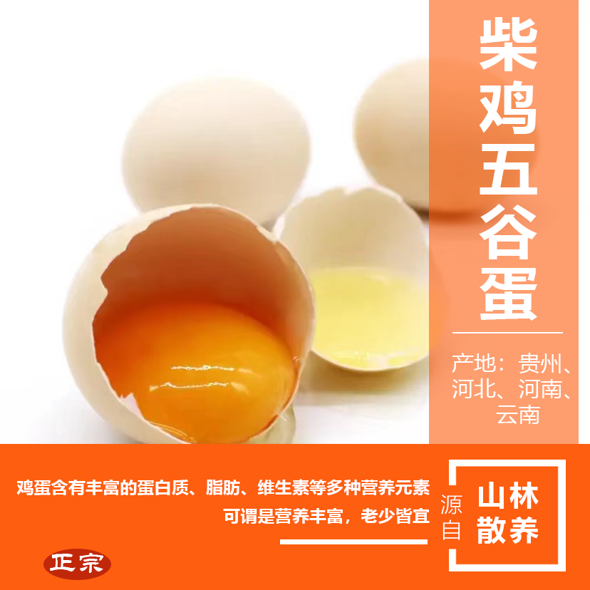 自家山林散養(yǎng)柴雞五谷蛋，小時(shí)候的味道